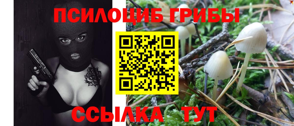 Галлюциногенные грибы Cubensis Дальнегорск