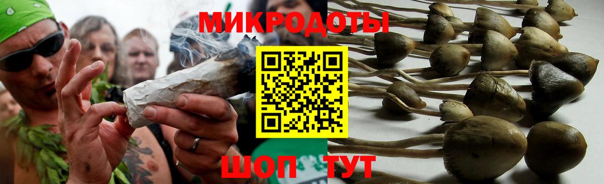 Дальнегорск  Псилоцибиновые грибы Cubensis  Вход с VPN 